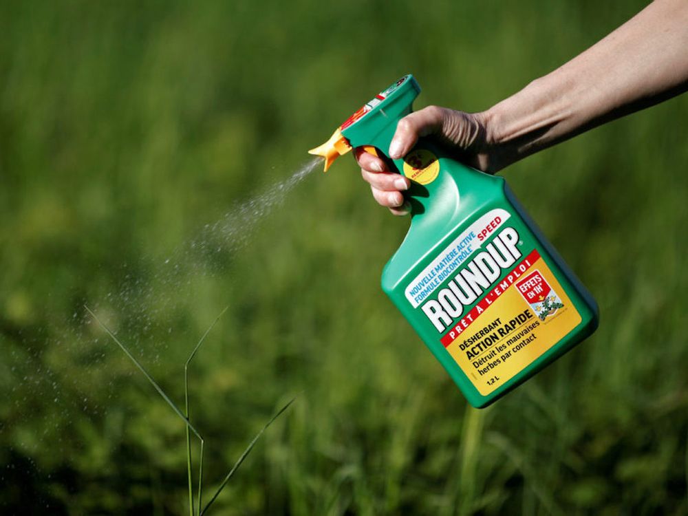 Roundup Weed Killer