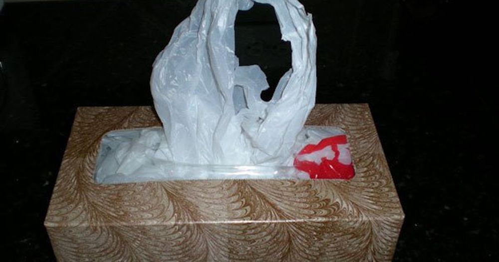 Plastic Bags in Tissue Boxes