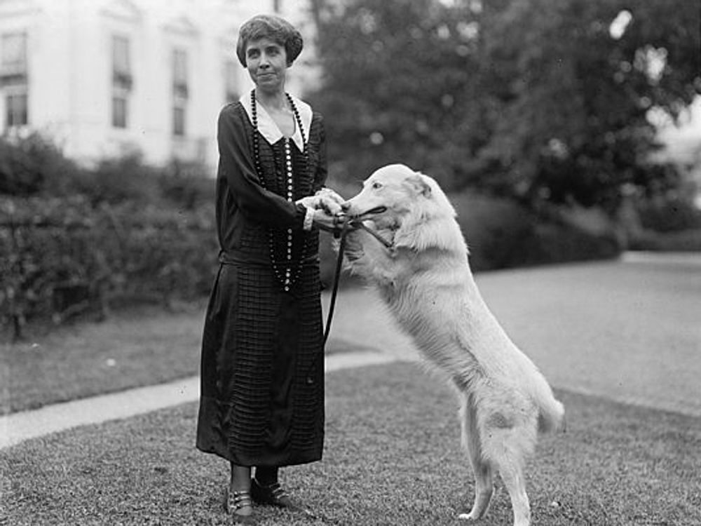 <span>16. </span>Grace Coolidge