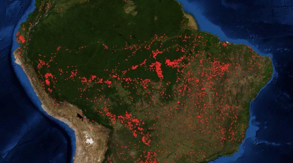 Fires in the Amazon