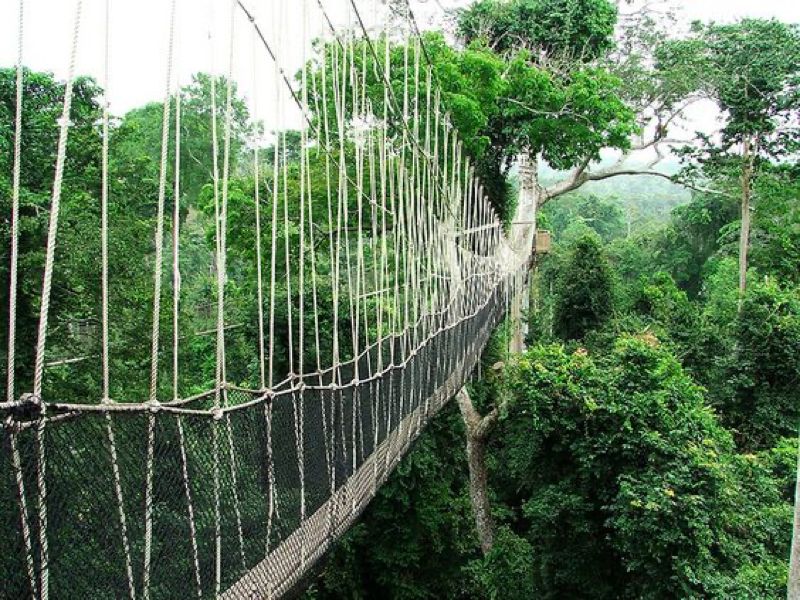 Canopy Walk, Ghana