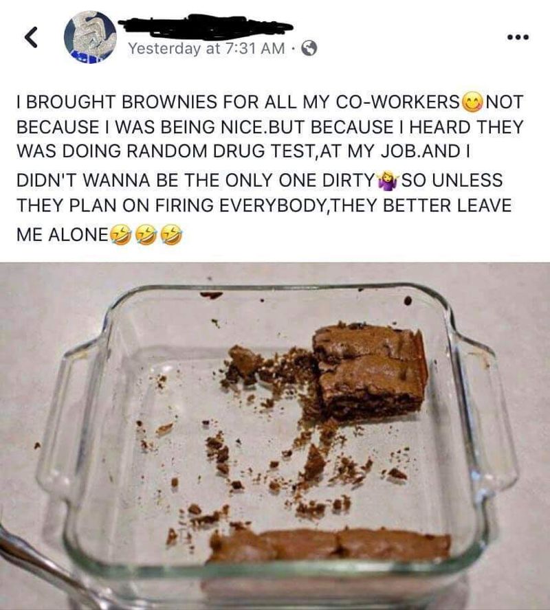 Pot Brownies For Everyone